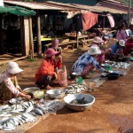 Dorfmarkt nähe Kampot